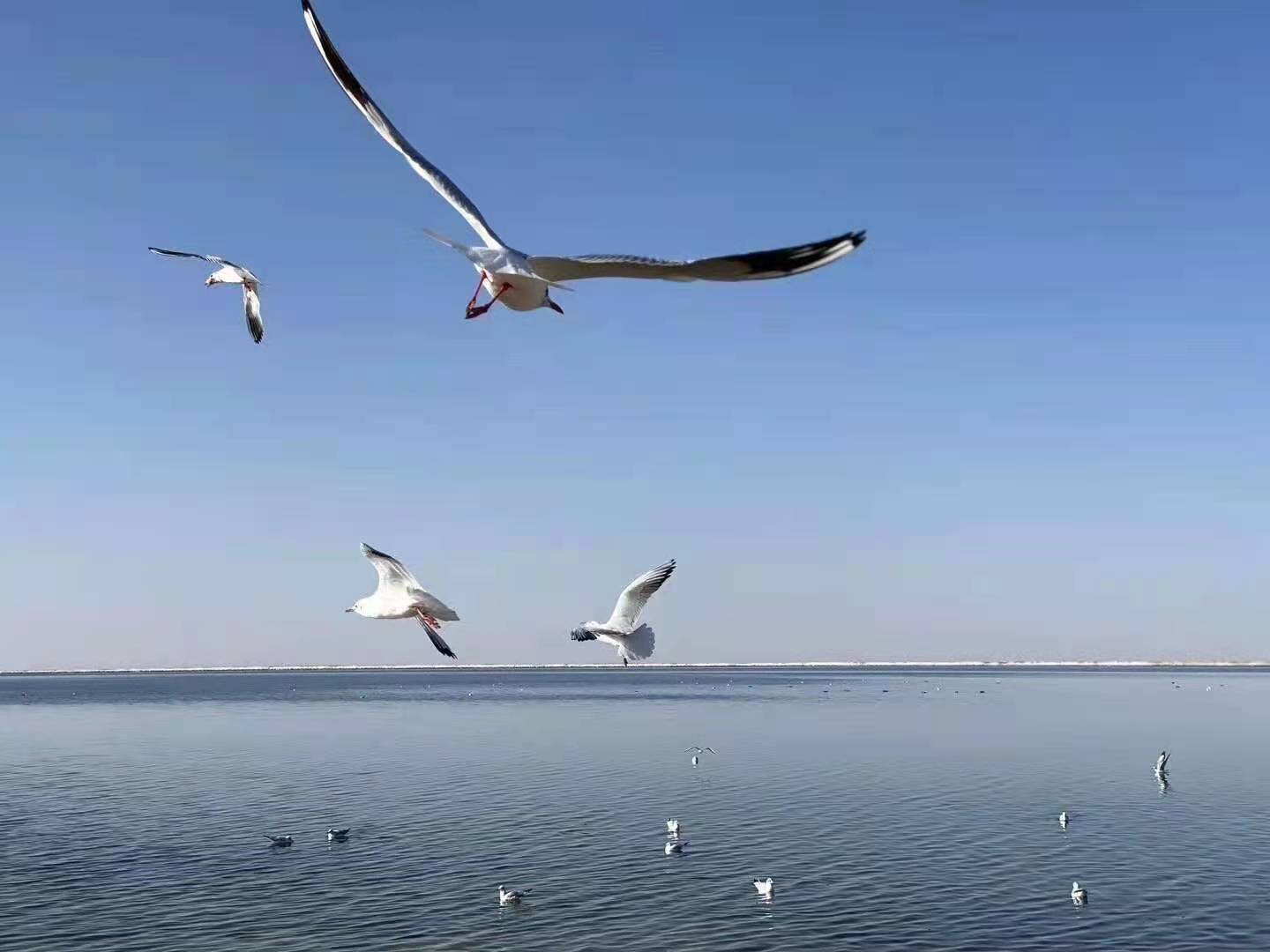 ΢��ͼƬ_20210123160425.jpg