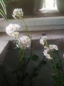 ΢��ͼƬ_20210608163004.jpg