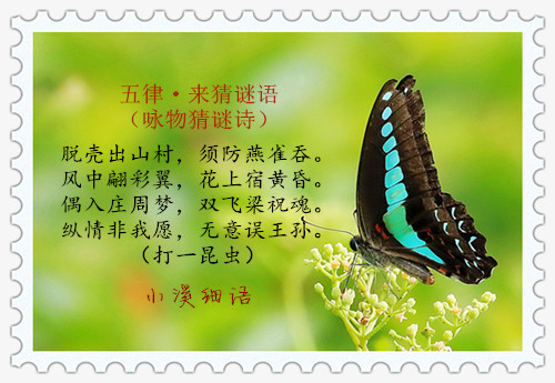 9569a858077a84b8dcaa90ae6f65f2a3_����.jpg