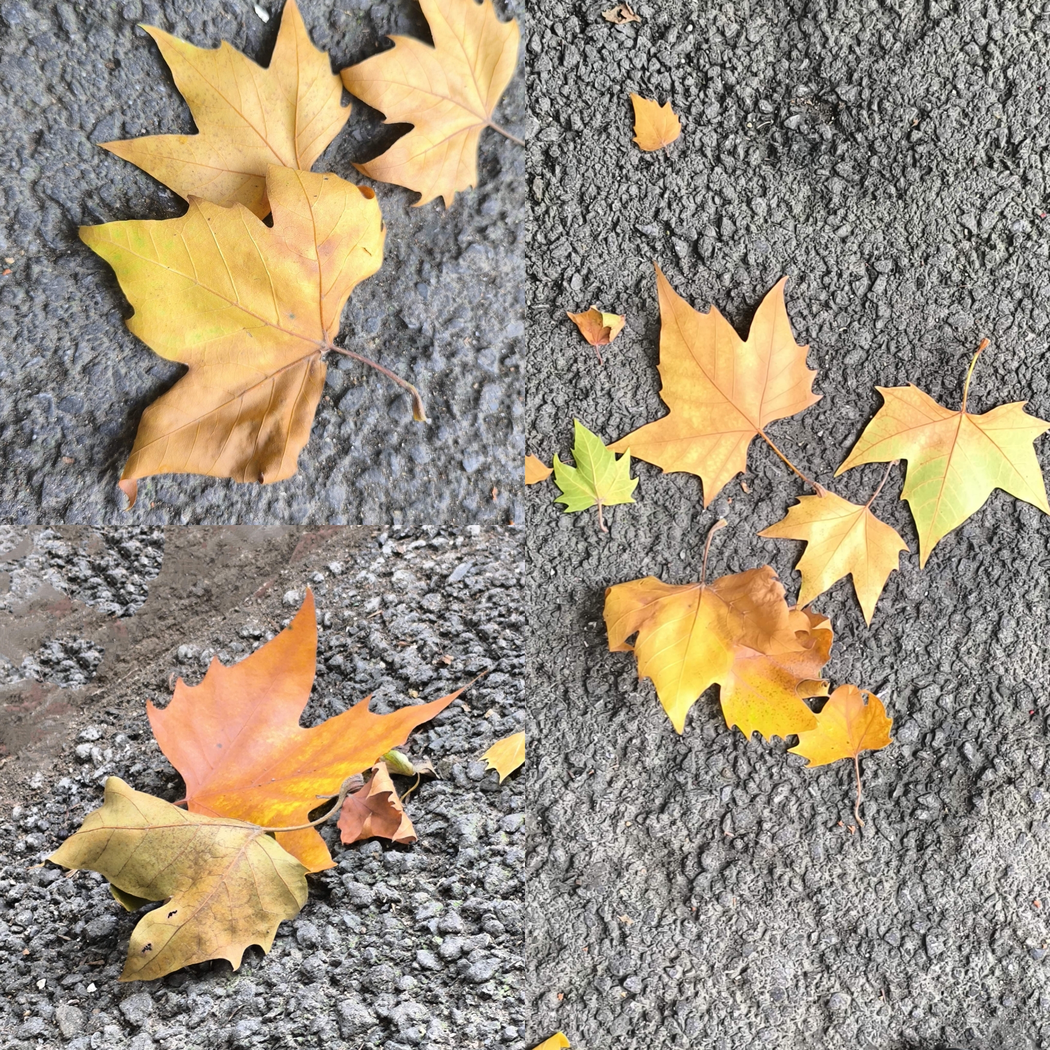 ΢��ͼƬ_20251013072222_658_940.jpg