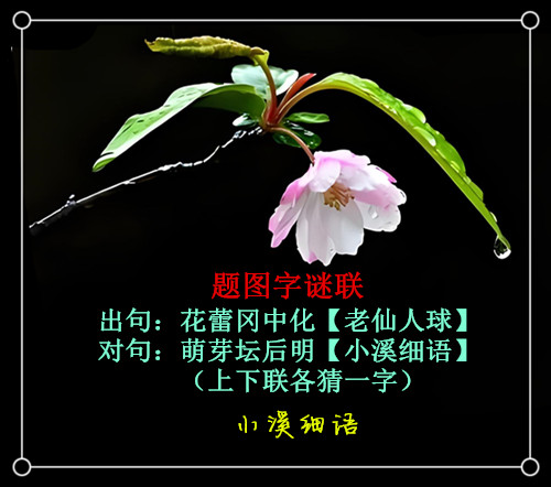 a7daabc306bdd4f3_����.jpg